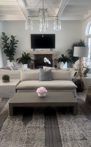 Living room before